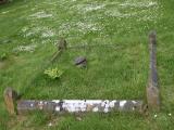 image number IMG_3224